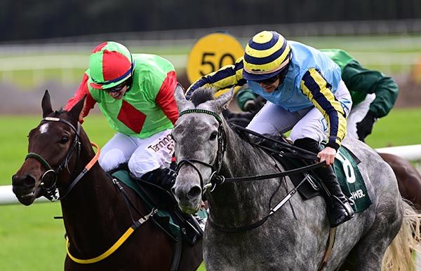 War Correspondent, near side, gets the better of Bridgehead