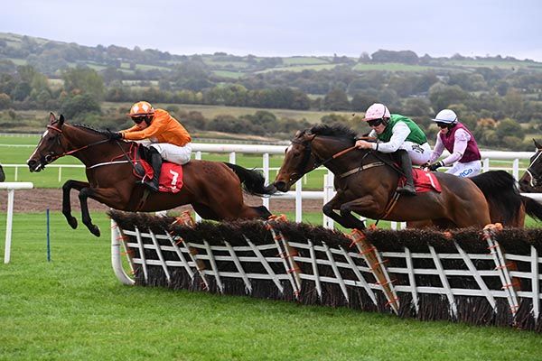 Well Funded leads Dollys Destination over the last