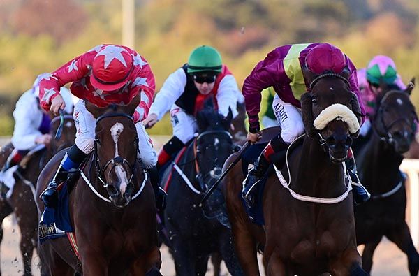 Finans Bay and Ronan Whelan (right)