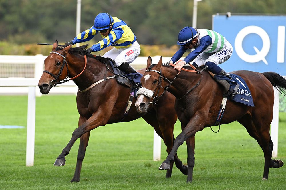 Trueshan (left and Hollie Doyle) battle it out with Coltrane (David Probert)