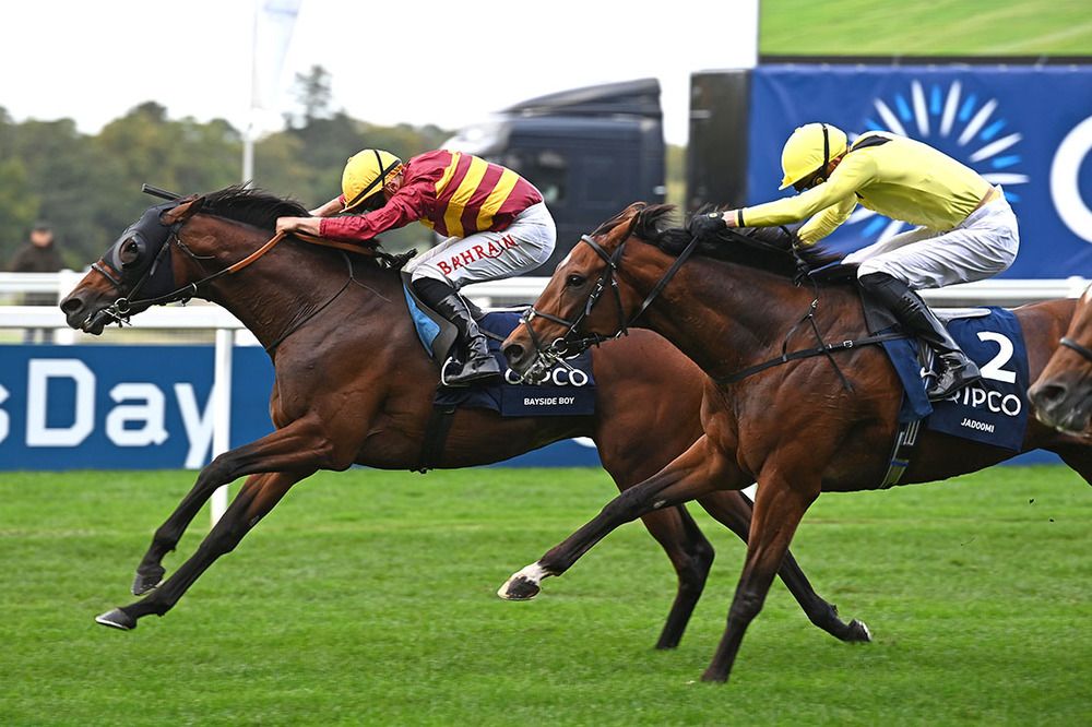 Bayside Boy and Tom Marquand winning the Qipco Queen Elizabeth II Stakes 