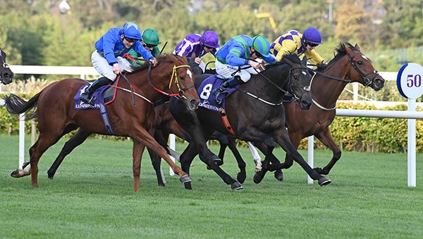 Rare Middleton (No.8) and Declan McDonogh