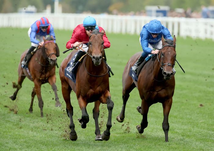 Bay Bridge (left) beating Adayar at Ascot