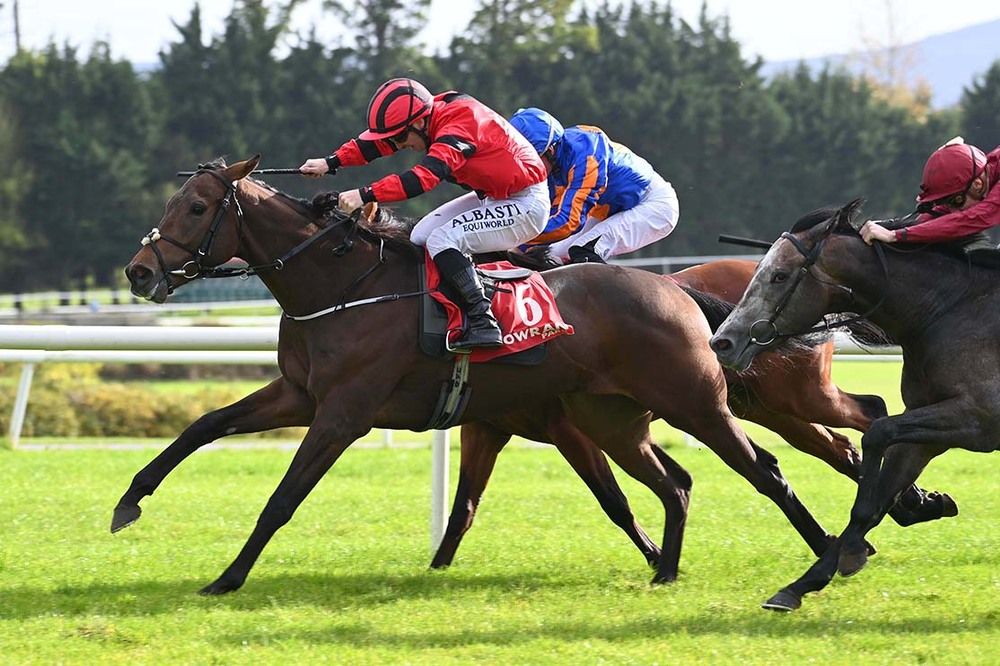 Immutable driven home by Gary Carroll