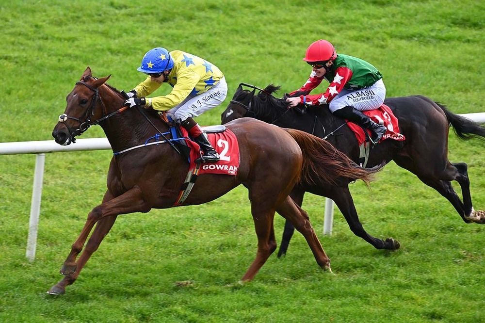 Andrew Slattery and Fools Glory a winning combination