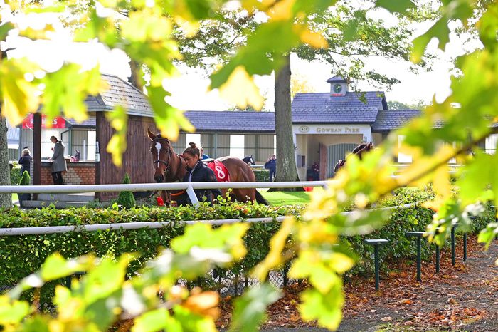 The parade ring at Gowran