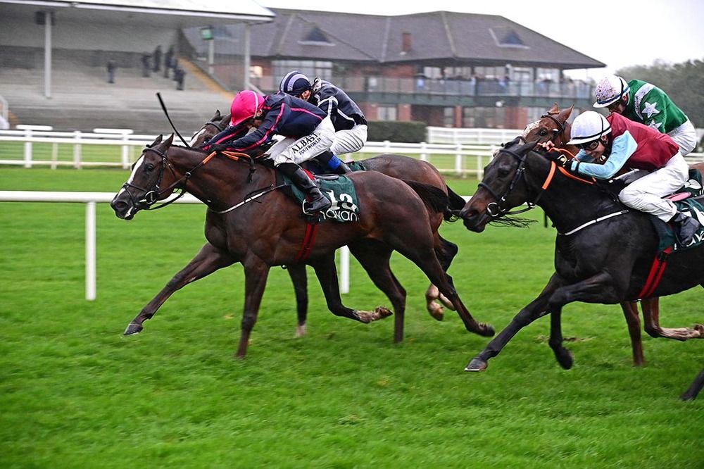 Magical Vision, pink cap, in front close home