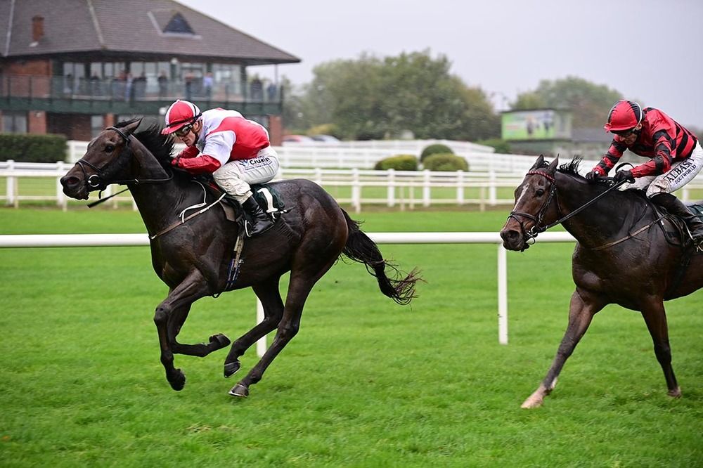 Billy Lee guides Mickey The Steel home