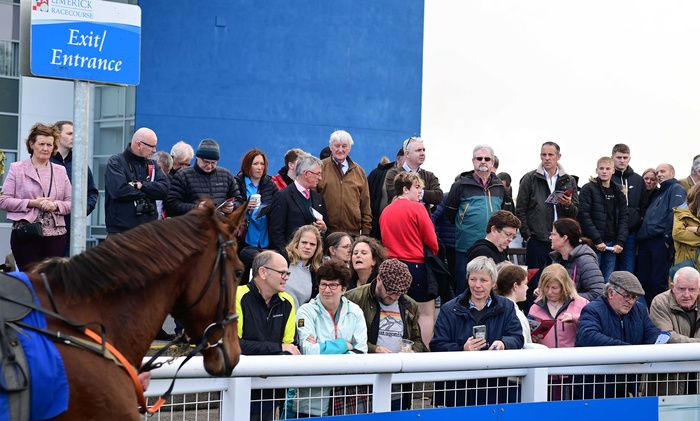 Limerick stage an all-Chase card on Thursday evening. 