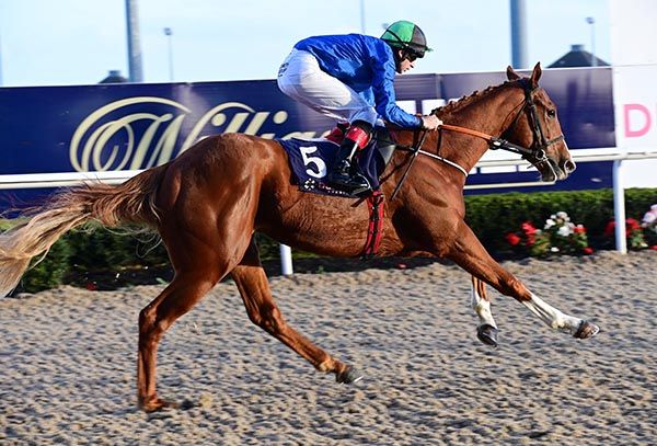 Starspangledwaves and Conor Hoban