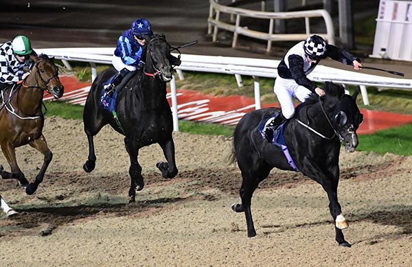 Zonik and Cillian McConnell 