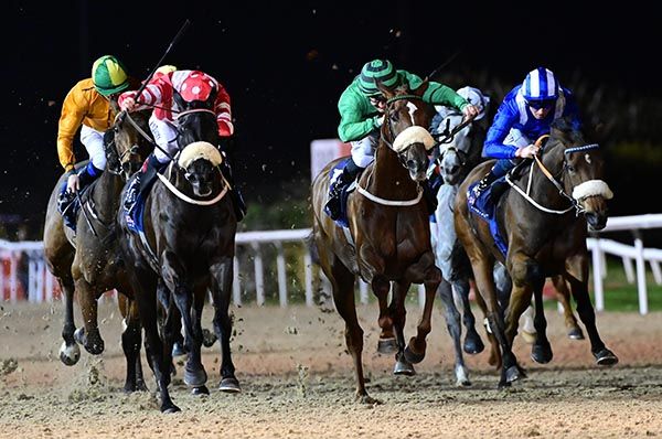 Golden Twilight (red/white) beating Ceallach