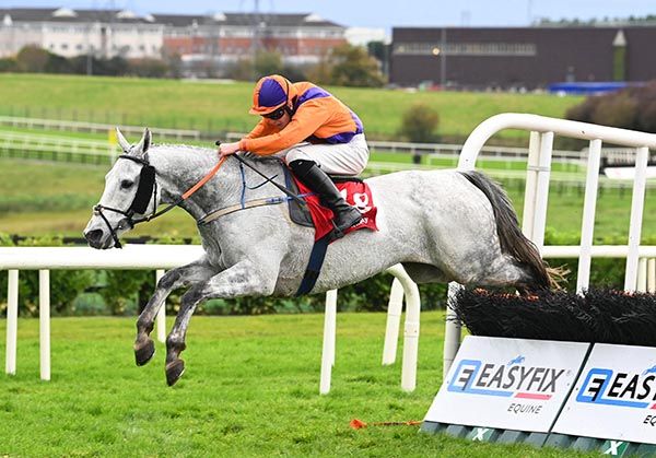 Ballyadam Destiny makes the best way home from the last