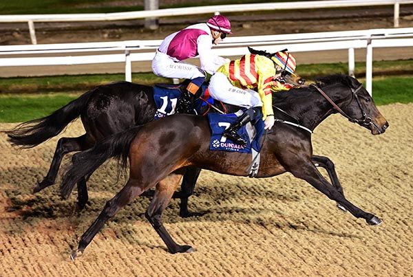 Mere Accountant and Ben Coen get up close home to land Dundalk maiden 