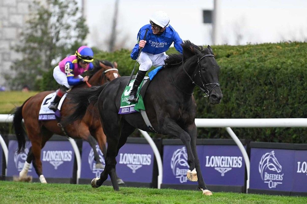 Rebel's Romance and James Doyle