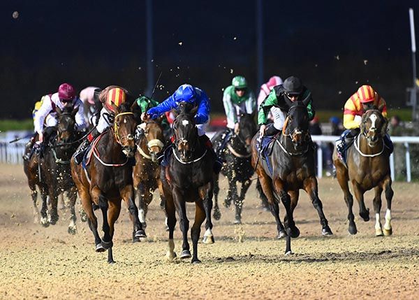 St Cianans Fire, blue, has all angles covered