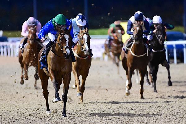 Catherine Of Siena (Seamie Heffernan) wins in good style