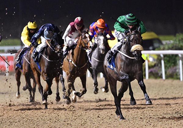 Slieve Binnian strides clear for Ronan Whelan