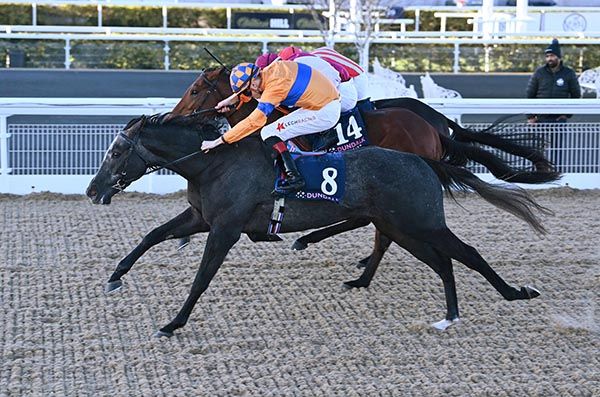 Hogmanay and Dylan Browne McMonagle 