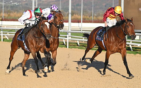 Sheer Chance and Alan Persse (left) with Bold Ribb 