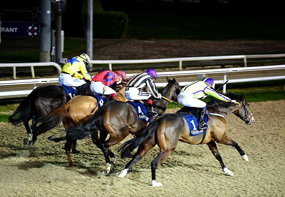 Jaafel (near side) and Daniel King winning a tight finish at Dundalk