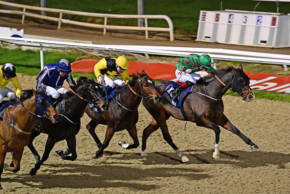 Company Keeping (far side) and Colin Keane