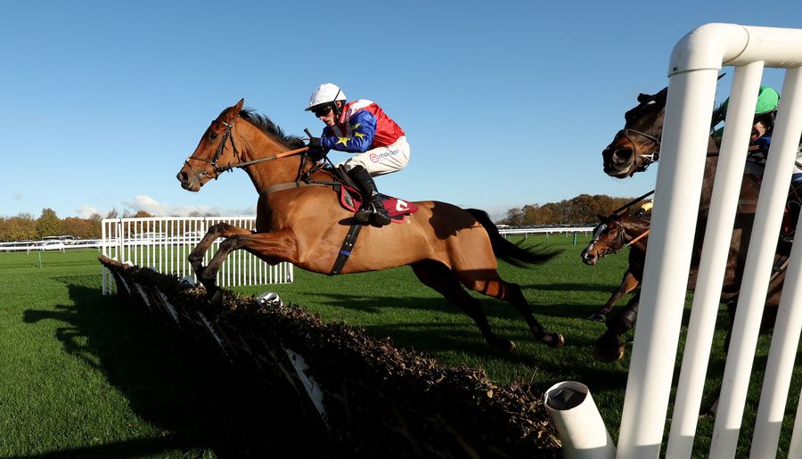 Tahmuras and Harry Cobden no 5 winning The Betfair Weighed In Podcast Newton Novices Hurdle