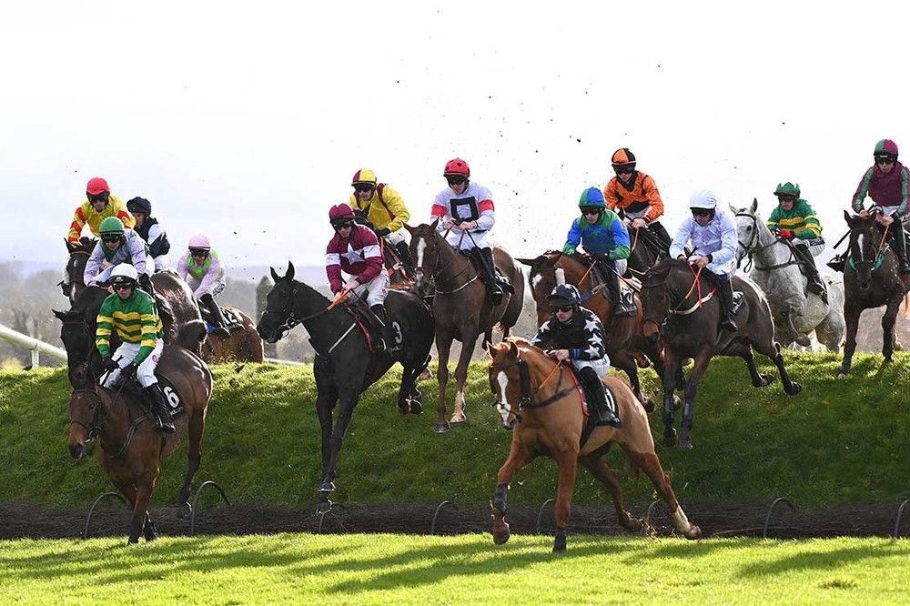 Racing over the banks at Punchestown 