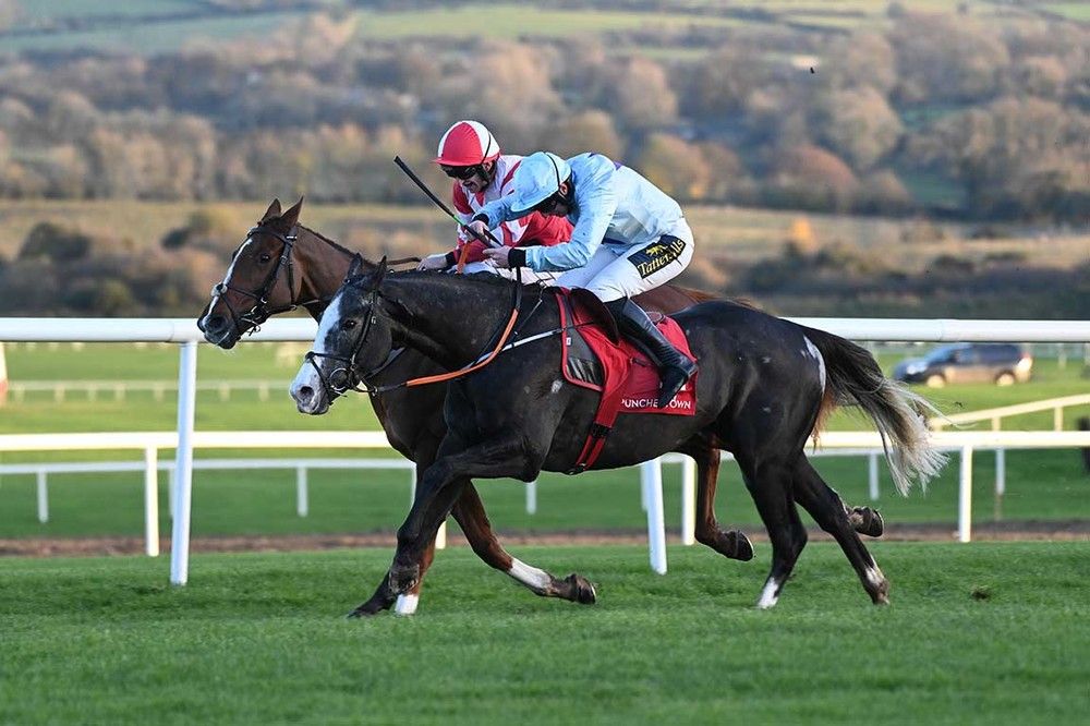 Cato Capone(near side) was awarded Punchestown bumper after an enquiry 