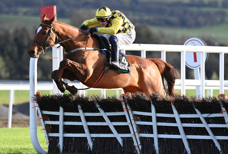 State Man won last year's Punchestown Champion Hurdle