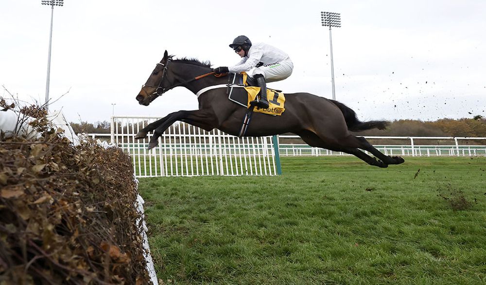 Constitution Hill and Nico de Boinville