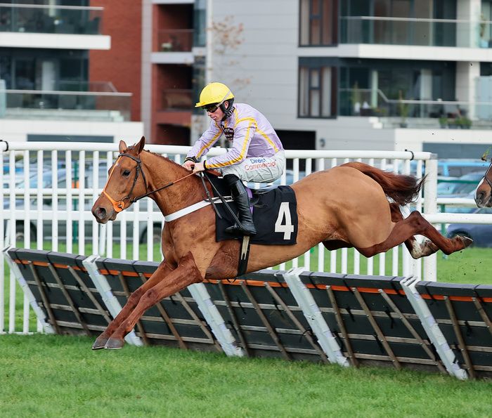 Luccia pictured on her way to victory at Newbury in November 