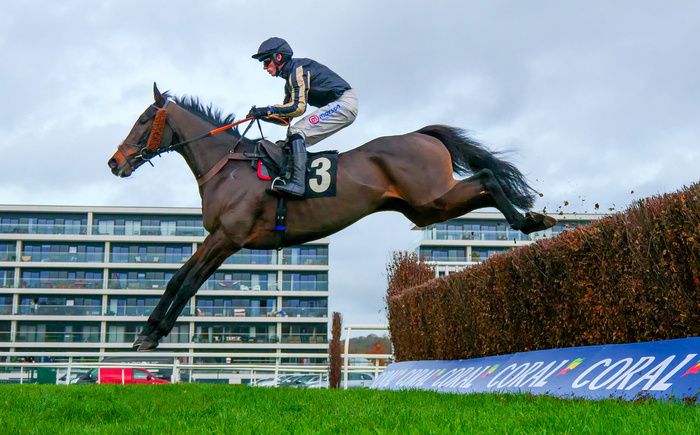 McFabulous (Lorcan Williams) winning at Newbury