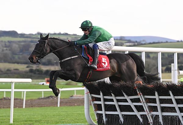 Tax For Max enjoys himself in Punchestown 