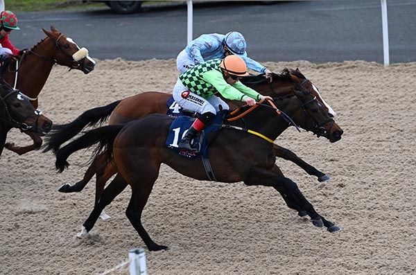 Shangrilama and Leigh Roche