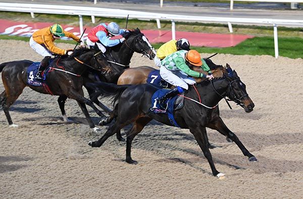 Inishmont Prince and James Ryan