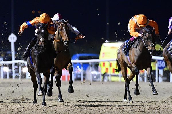 River Rain (left) with Dancing Tango