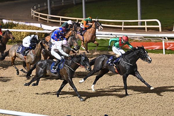 Cold Steel leading under Bill Lee