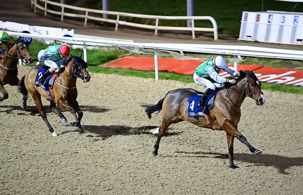 Primo Uomo is pushed out by Niall McCullagh