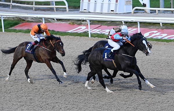 Inflection Point and Siobhan Rutledge