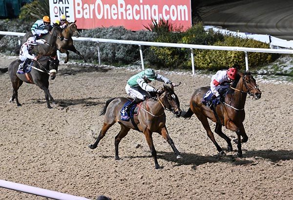 Halycon Spirit wins from Newgirlintown