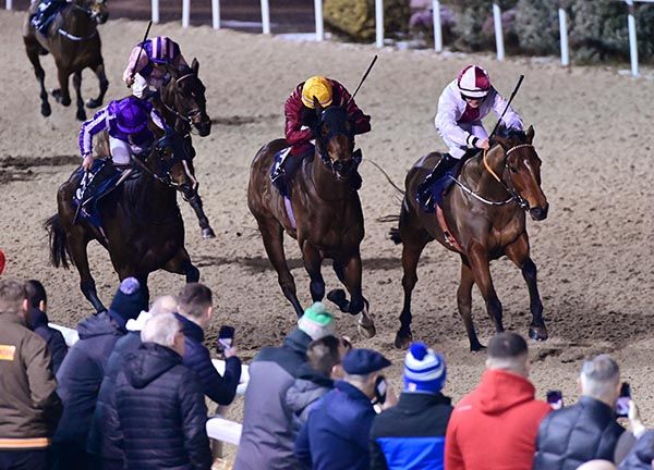 Cristal Clere & Sean Bowen (right) beat Cyclamen (nearest) and Bold Ribb (centre)