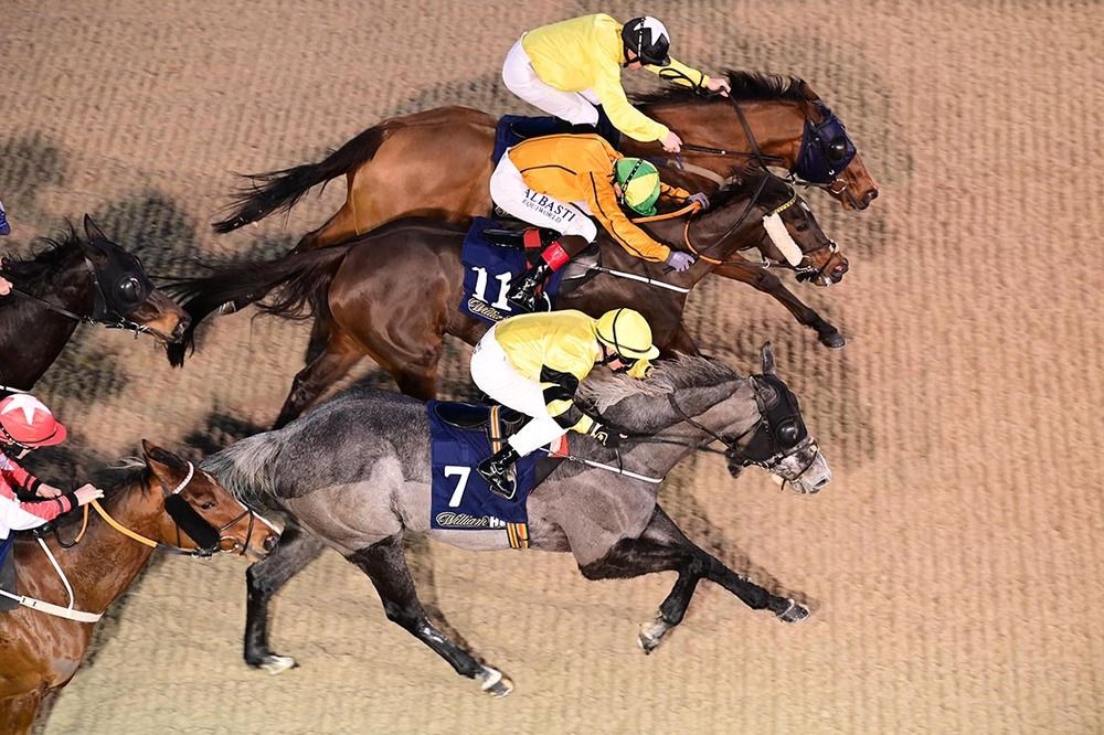 No Speed Limit, far side, wins by a head and a nose from Florence Thompson centre and Silver Nemo near side