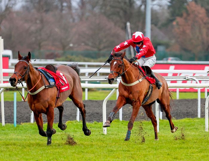 Loose horse Edwardstone leads Editeur Du Gite up the run-in at Kempton