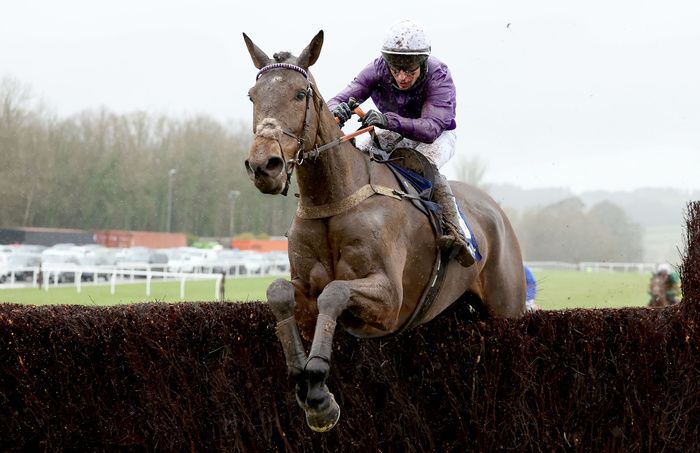 Fugitif will make a return to Cheltenham next month in bid to enhance course record