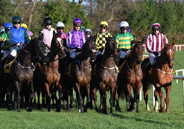 Runners lining up for a race at Leopardstown over Christmas