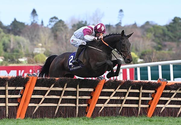 Maxxum runs away from the field