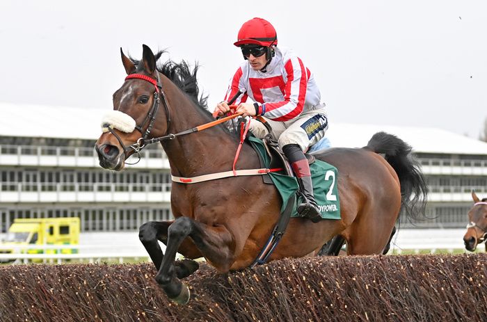 paddy power cheltenham betting offers