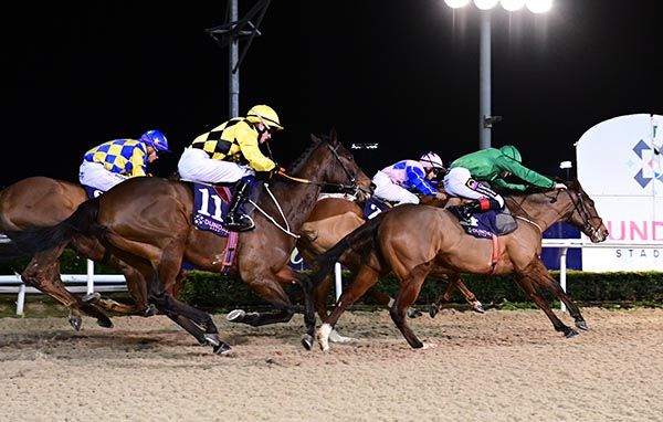 Bambeano (green colours)