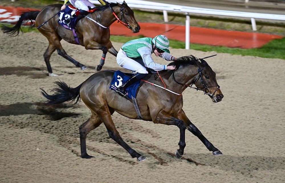 Cursory Exam and Daniel King 